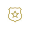 Shield Icon